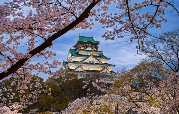 Trees, landscape, nature, spring, Japan, Sakura, temple, flowering