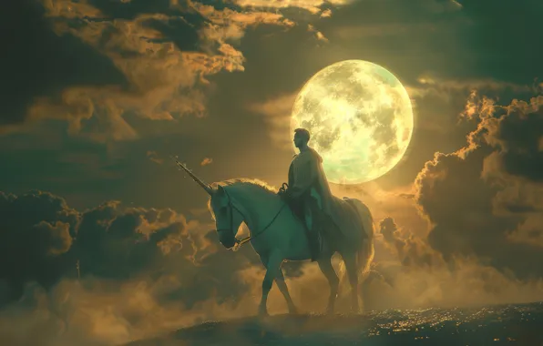 Field, the sky, clouds, light, night, the moon, fantasy, unicorn