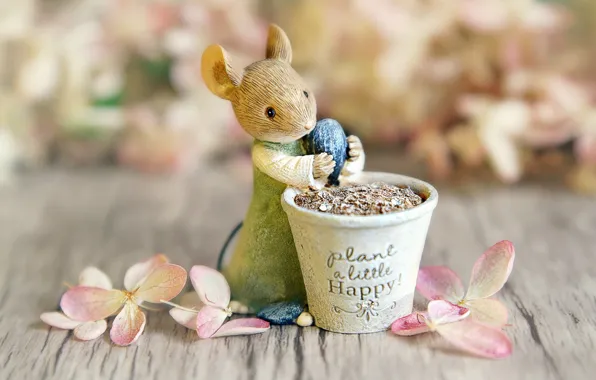 Picture flowers, background, the inscription, toy, Board, petals, mouse, mouse