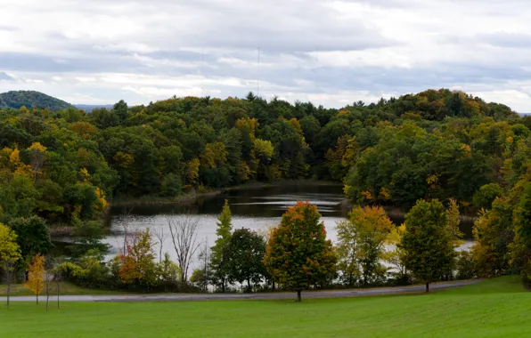 Picture forest, Nature, autumn, lake, scenery