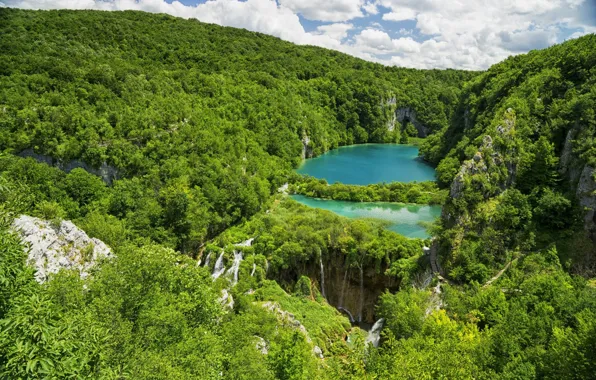 Clouds, Lake, Forest