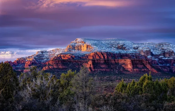 Picture forest, clouds, snow, trees, mountains, rocks