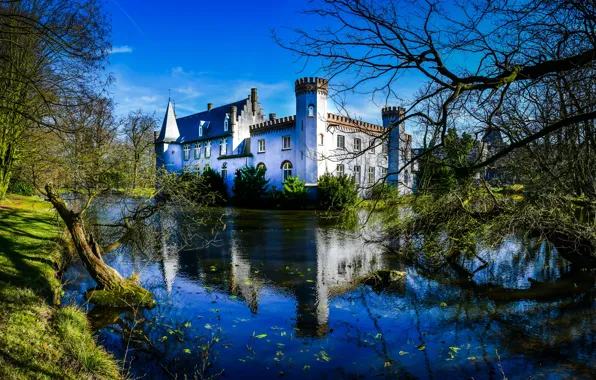 Picture trees, landscape, branches, pond, reflection, castle, Netherlands, Stapelen Castle