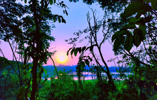 Sun, Water, Sunrise, Dawn, Morning, Lake, Trees, Reflection