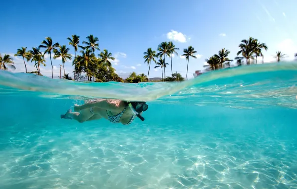 Girl, palm trees, the ocean, sport, Seychelles, swimming, fins, diving