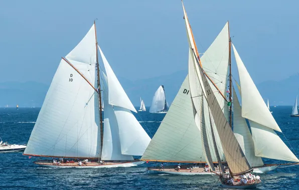 Picture sea, France, yacht, sail, regatta, sailing, Voiles de Saint-Tropez