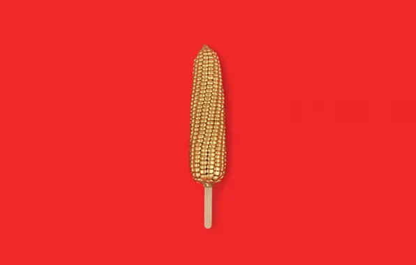 Picture the volume, the cob, Golden corn