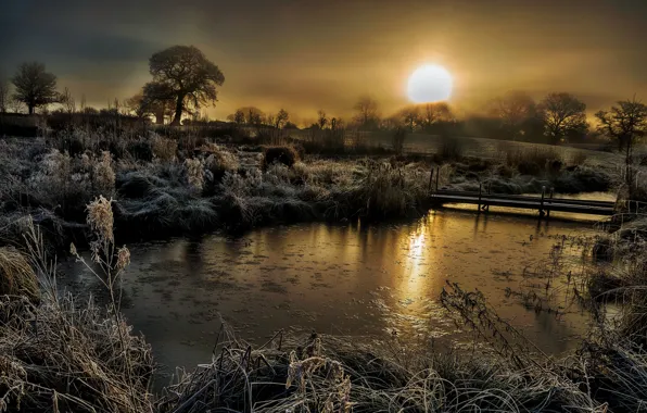 Picture dawn, England, frosty morning, Coddington