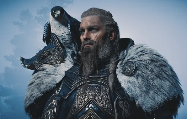 Picture Falcon, Viking, Assassin's Creed Valhalla, Eivor Varinsdottir