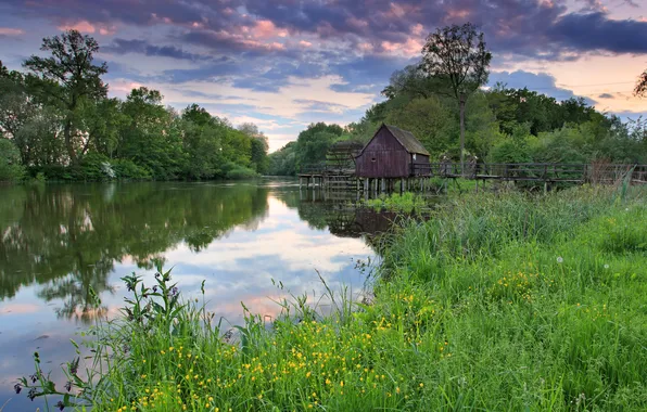 Summer, the sky, grass, clouds, trees, lake, shore, house