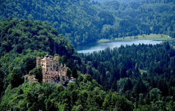 Greens, forest, the sun, trees, mountains, lake, castle, Germany