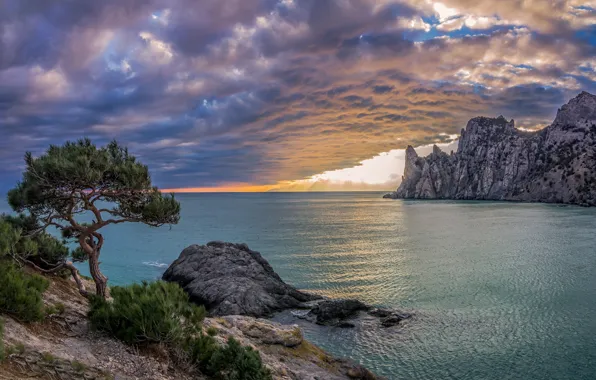 Sea, the sky, clouds, trees, rocks, Crimea, pine, Royal Bay