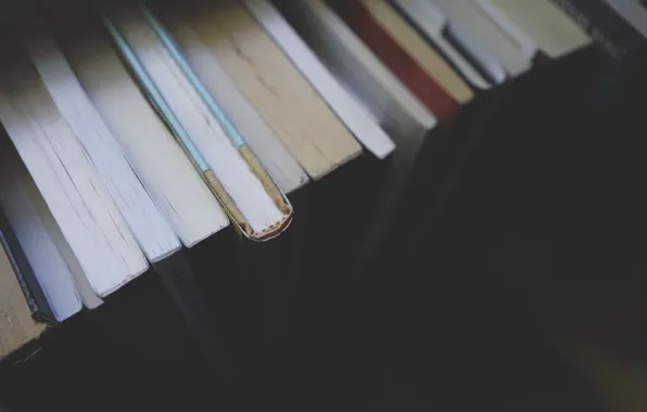 Books, shelf, stack, page