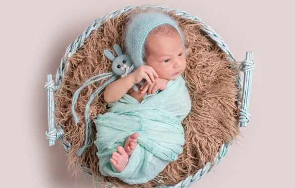 Basket, toy, child, boy, baby, fur, cocoon, cap
