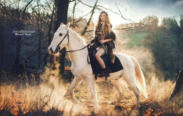 Look, girl, the sun, nature, hair, horse, blonde, fur