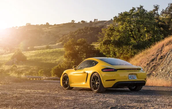 Porsche, Cayman, rear view, GTS, 718, 2019