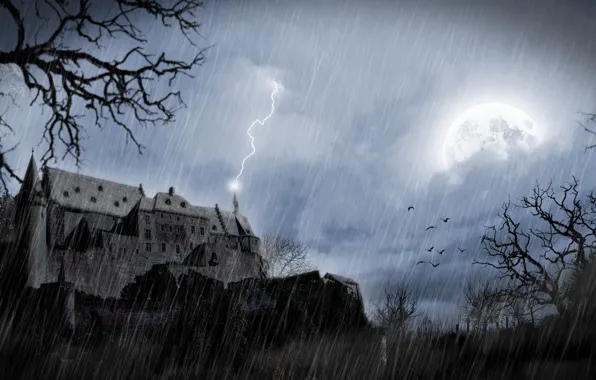 Picture the storm, night, castle, the full moon, the shower, Damn place