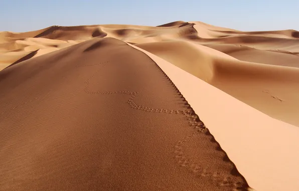 Picture Sand, Desert, Traces
