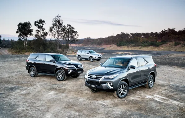 Picture photo, Toyota, Cars, SUV, Metallic, Fortuner