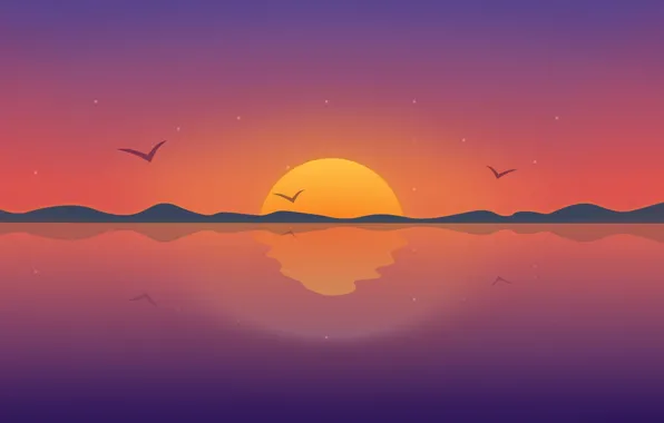 Picture sunset, bird, vector, horizon