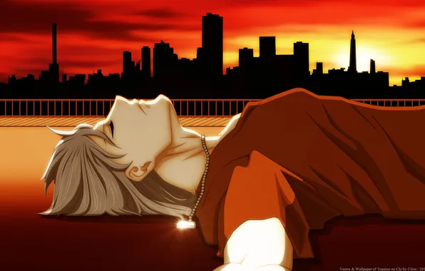 Picture the sky, the sun, home, anime, lies, guy, sunset, Akira