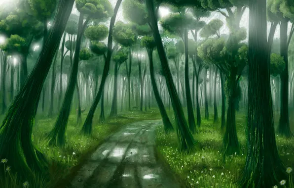 Forest, light, deep forest
