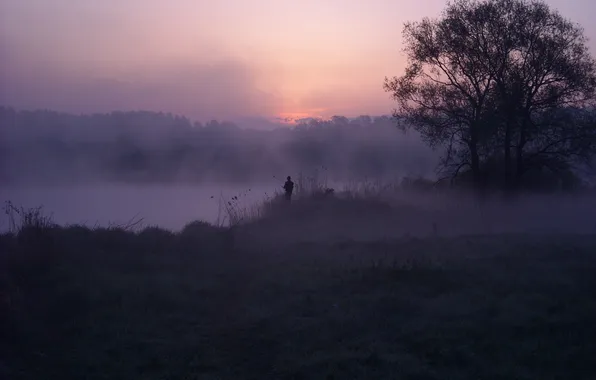 Picture river, dawn, Morning