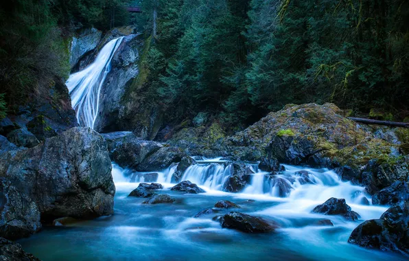 Forest, trees, rock, river, stones, waterfall, stream, USA