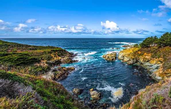 Sea, the sky, the sun, clouds, trees, stones, rocks, coast