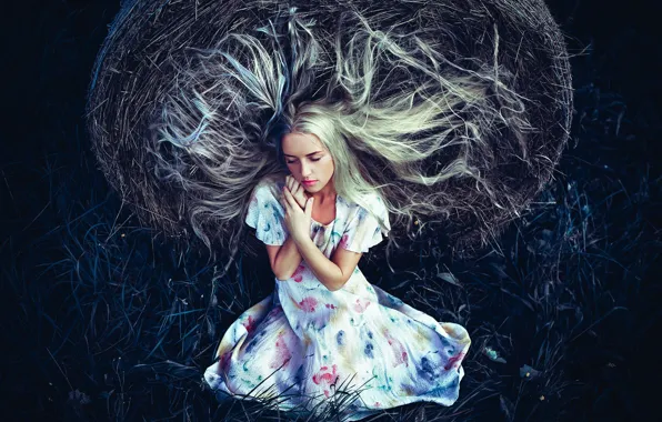 Picture grass, girl, hair, hay