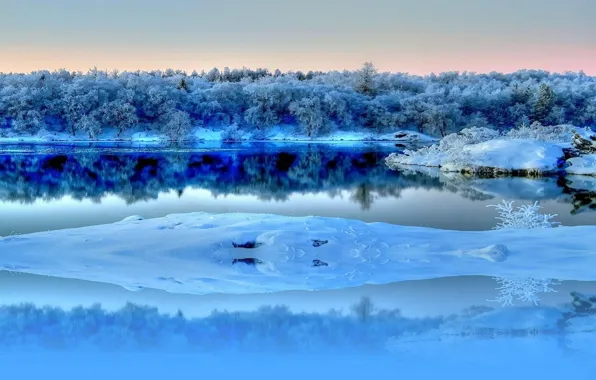 Winter, frost, forest, the sky, snow, trees, reflection, river