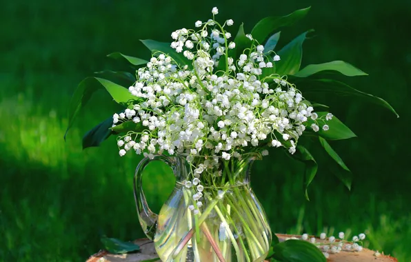Picture greens, flowers, glade, stump, bouquet, spring, garden, pitcher