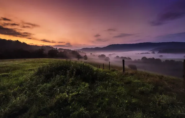 Field, summer, sunset, night, fog