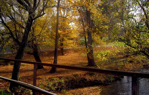 Picture Autumn, Trees, Fall, Foliage, River, Autumn, Colors, River