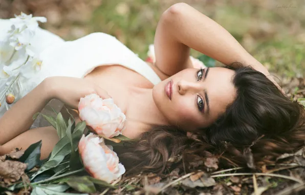 Look, sponge, peonies, Beatriz Calderon