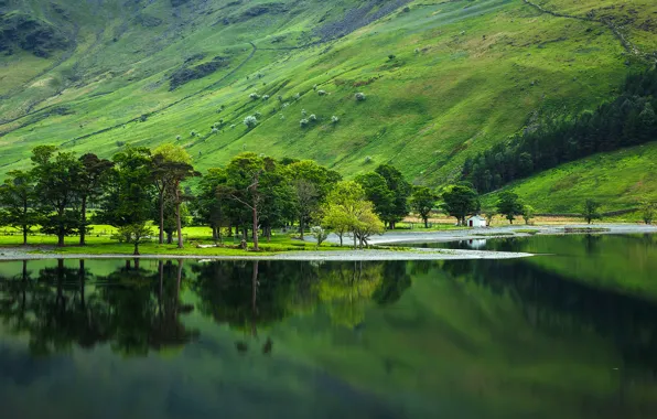 Picture trees, mountains, lake, house, slope