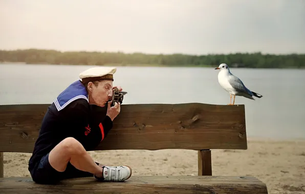 Photo, humor, Seagull, sailor, memory