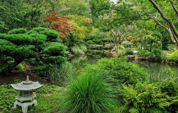 Photo, Nature, Pond, The bushes, Park, USA, Ball Ground, Gibbs Gardens