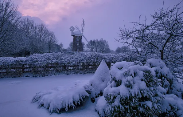 Picture winter, snow, trees, twilight, windmill