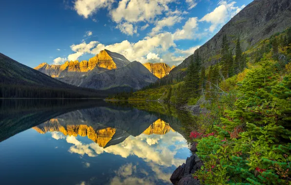 Mountains, lake, reflection, the bushes