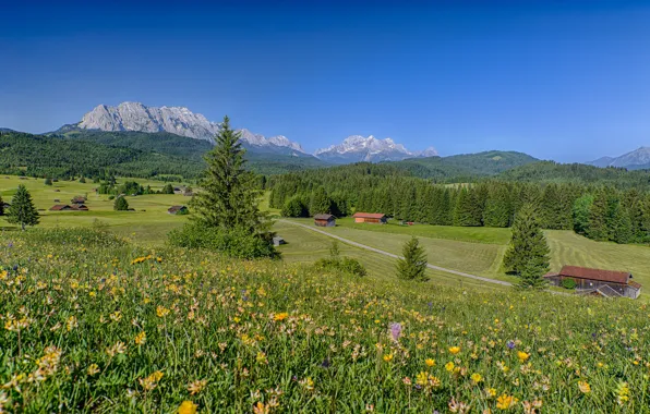 Forest, landscape, flowers, mountains, home, Germany, Bayern, Alps