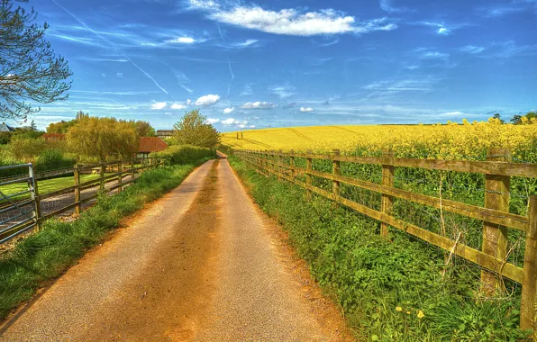 Road, field, the sky, grass, clouds, the fence, home, flowering