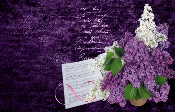 Picture flowers, notes, lilac, the Wallpapers