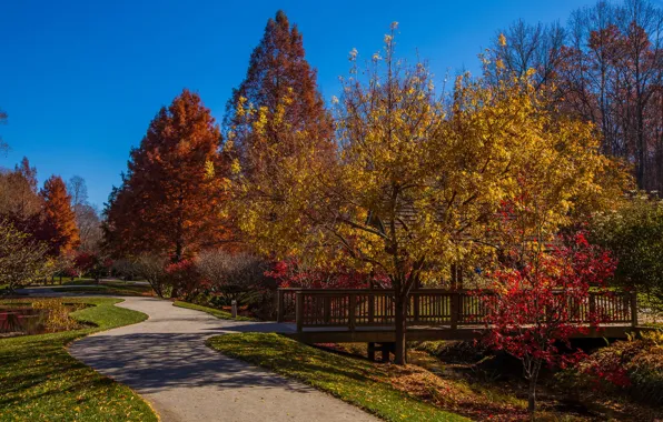 Autumn, leaves, the sun, trees, bridge, Park, lawn, track