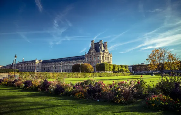 Flowers, Park, France, Paris, Paris, the bushes, Palace, France