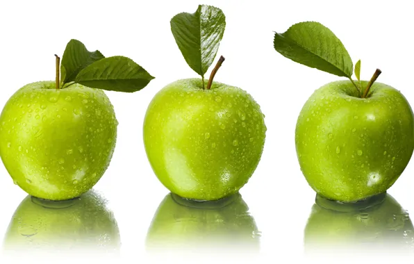 Leaves, water, drops, reflection, apples, green, white background