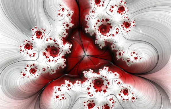 Abstraction, pattern, fractals, fractal, geometry, ornament, symmetry, abstract background