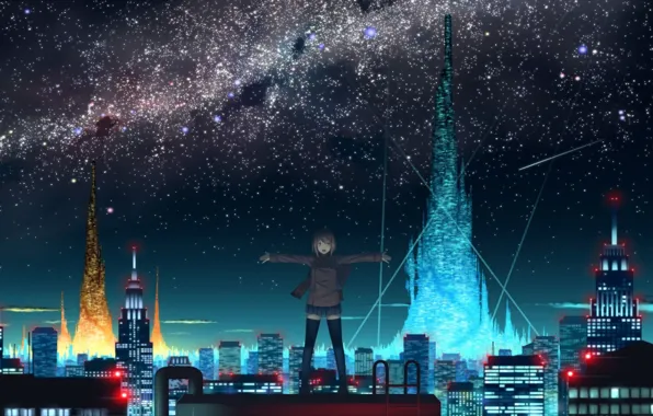 Roof, the sky, night, the city, lights, anime, girl