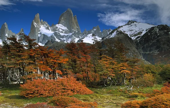 The sky, clouds, snow, trees, mountains, Argentina, Patagonia