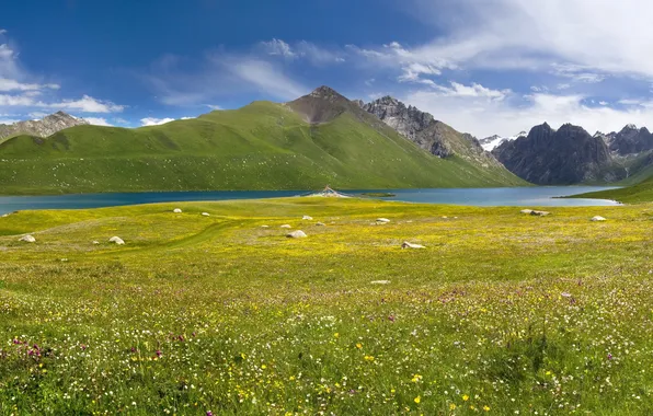 Picture the sky, clouds, flowers, mountains, lake, stones, meadow, Tibet